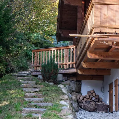 Haus Bergfried Dom wakacyjny Bramberg am Wildkogel